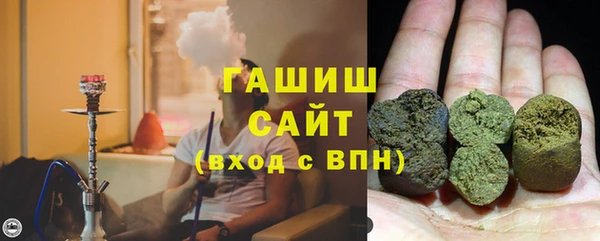 хмурый Аркадак