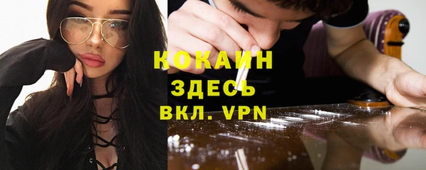 гашик Арсеньев