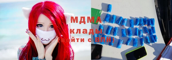 хмурый Аркадак