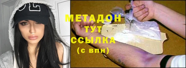 хмурый Аркадак