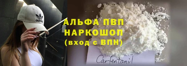 хмурый Аркадак