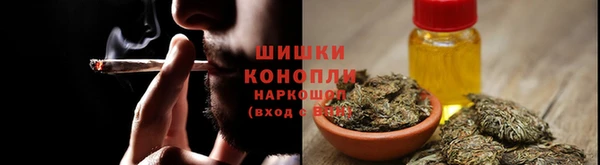 хмурый Аркадак
