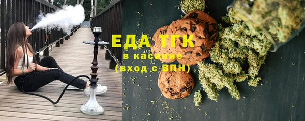хмурый Аркадак