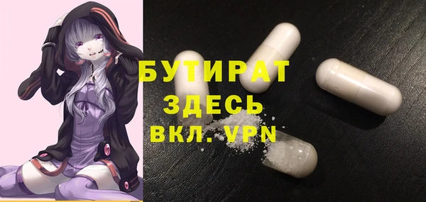 хмурый Аркадак