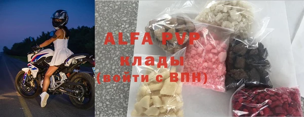 гашик Арсеньев