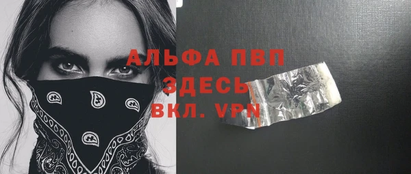 гашик Арсеньев